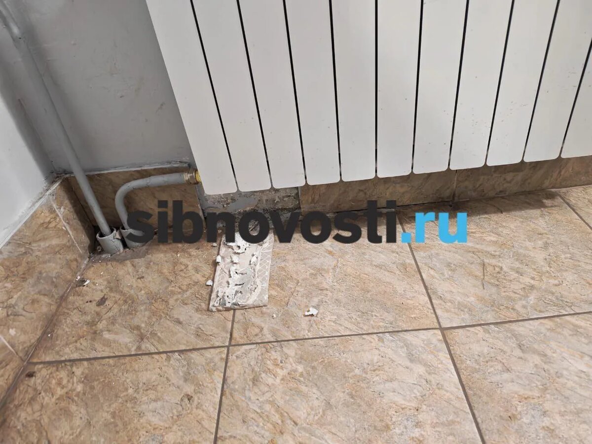    Фото: sibnovosti.ru