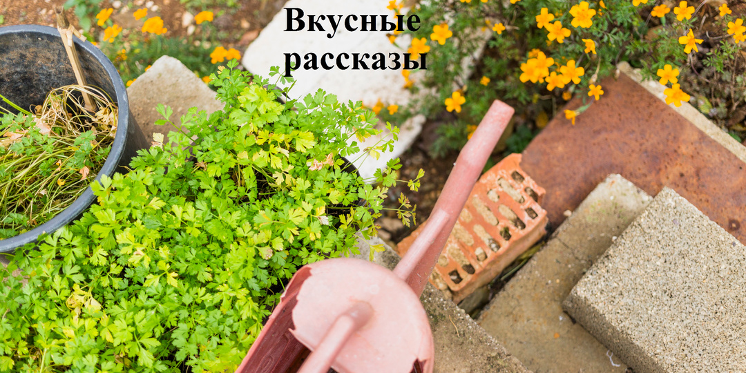 Работа для нас, а не мы для работы