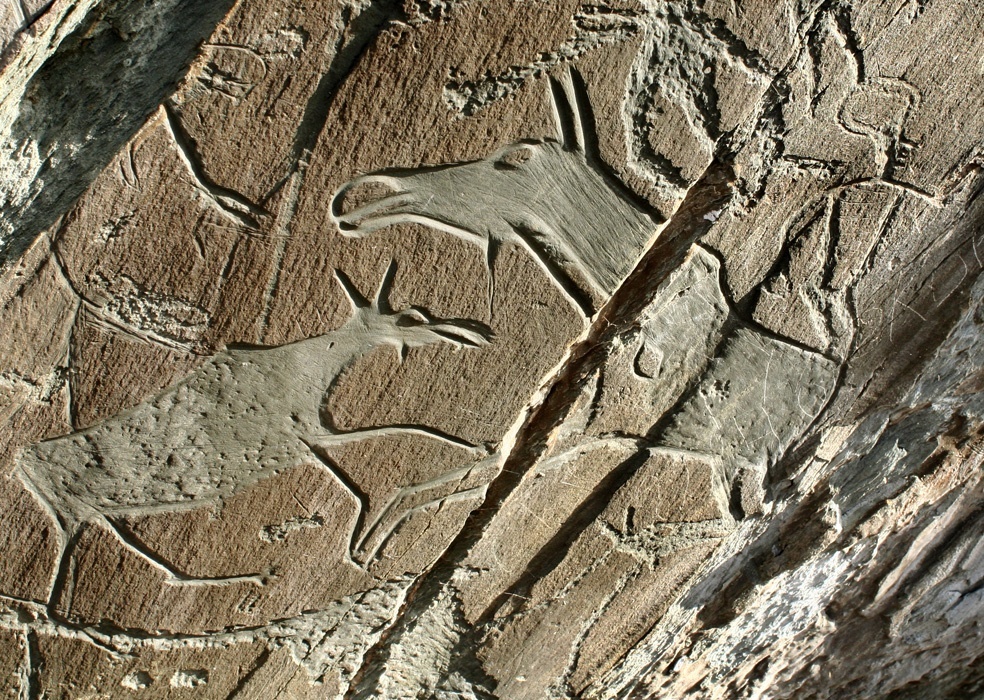 Фото с официального сайта: 