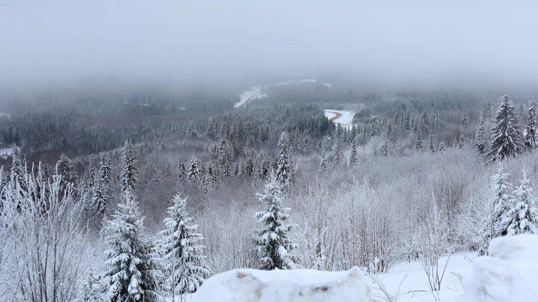    Elena Mayorova/Globallookpress