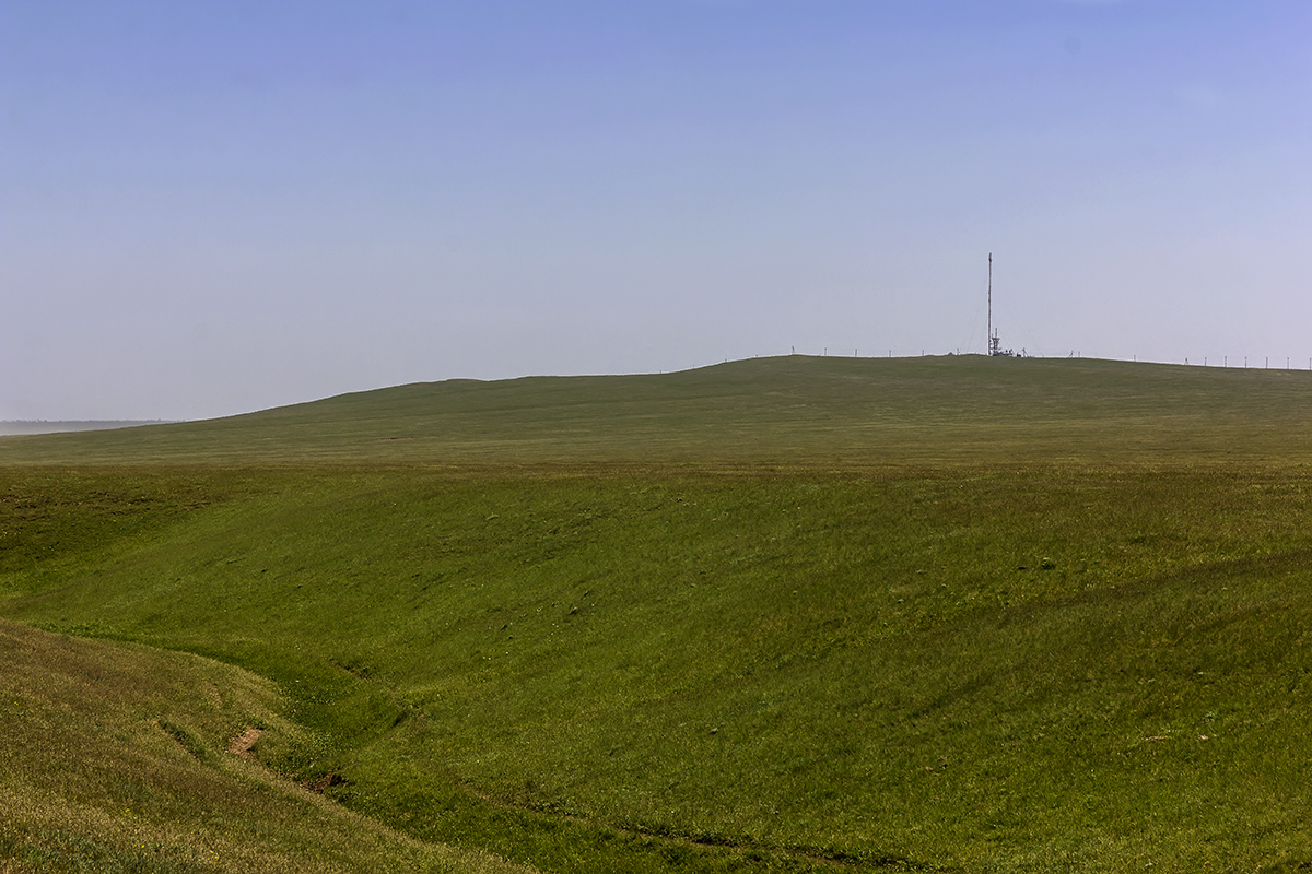 Фото с Яндекс.Картинки