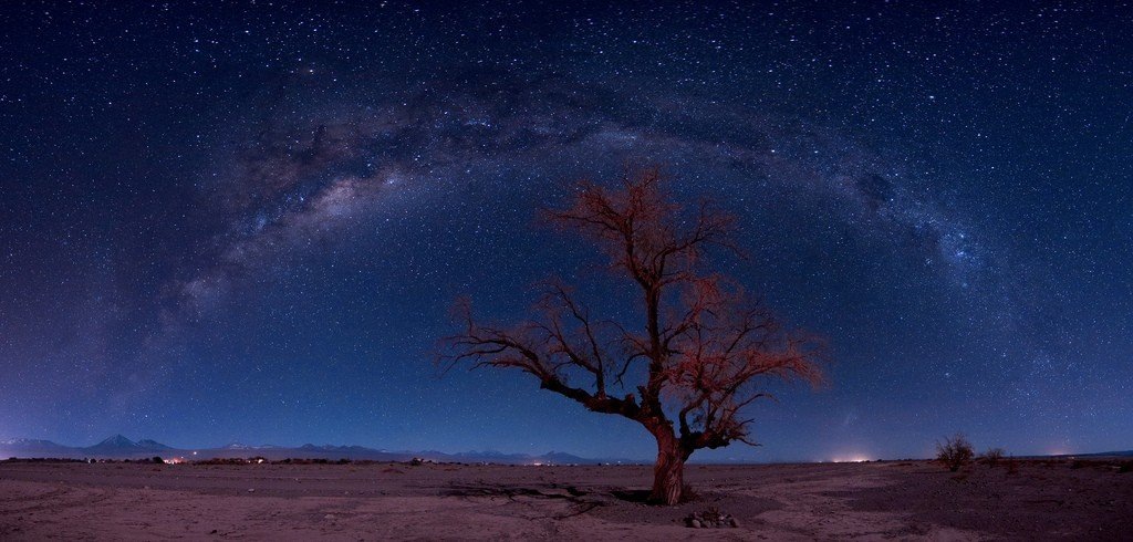 Над пустыней, где стоит одинокое дерево, раскинулся Млечный Путь — величественная галактика, сверкающая миллионами звезд.
