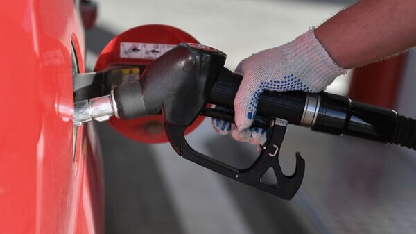    © Sputnik / Константин Михальчевский