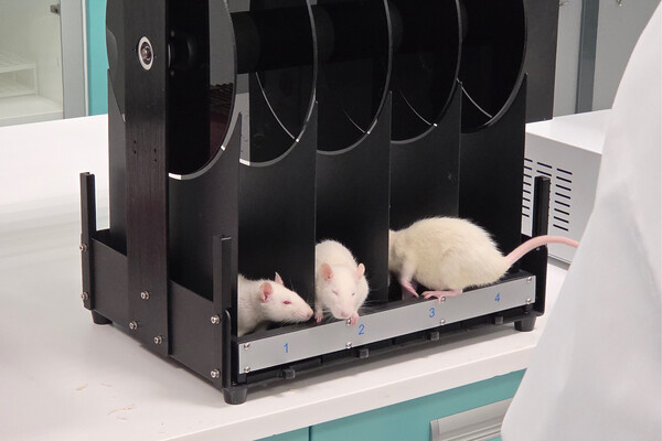    Эксперимент с движущимся стержнем / «Газета.Ru»