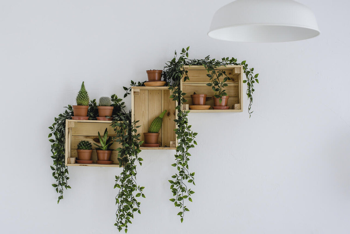     123RF/legion-media.ru