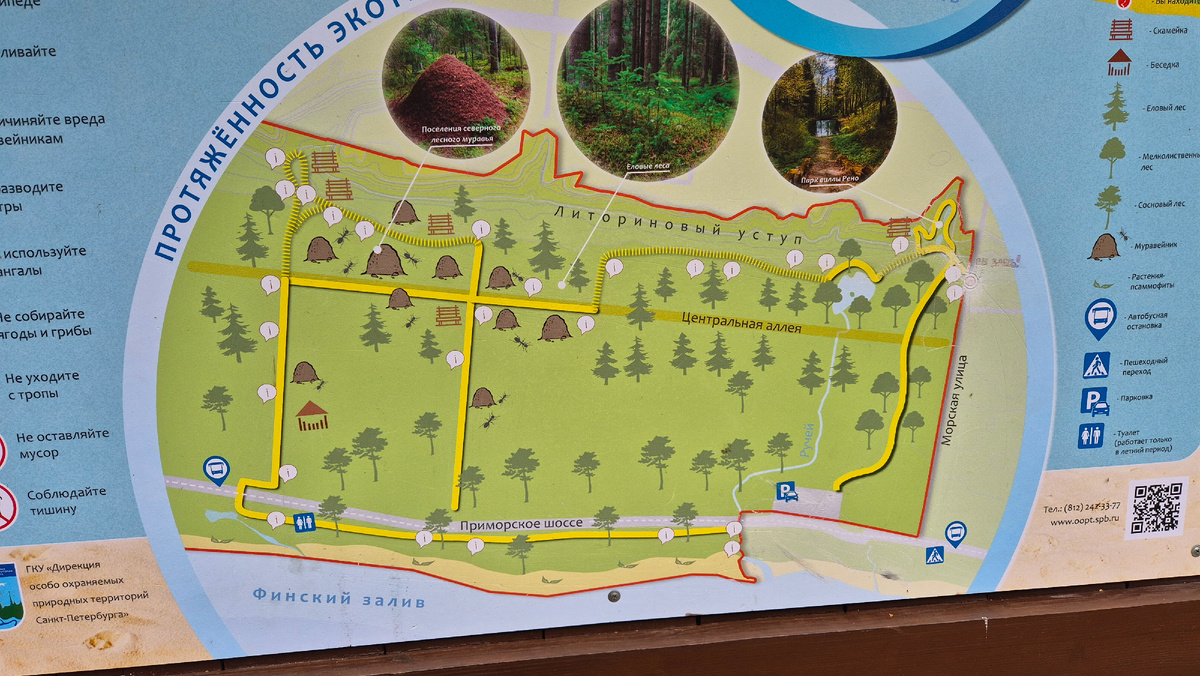 Схема тропы