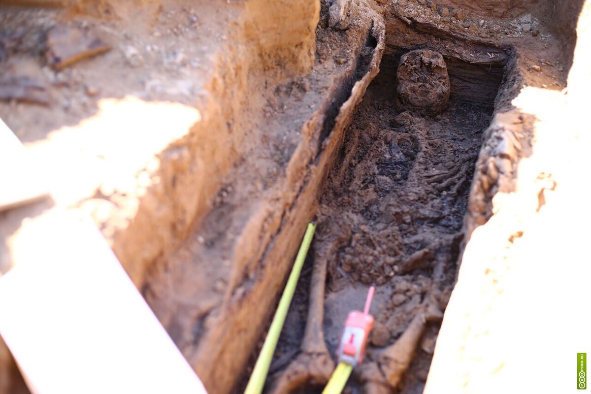 Разложение. Изображение из интернета.