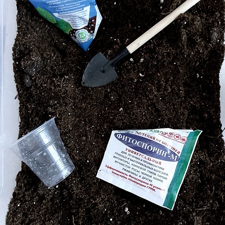 Фото автора канала Зелёное Царство