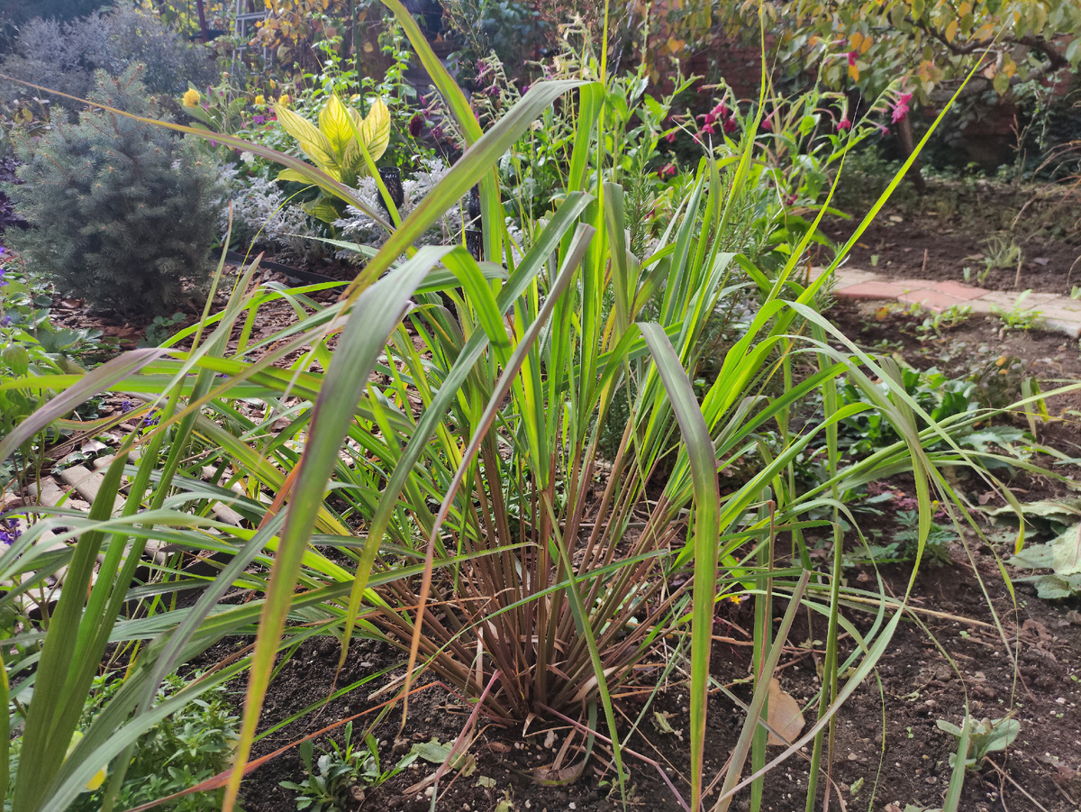 Фото автора. Октябрь 2025.