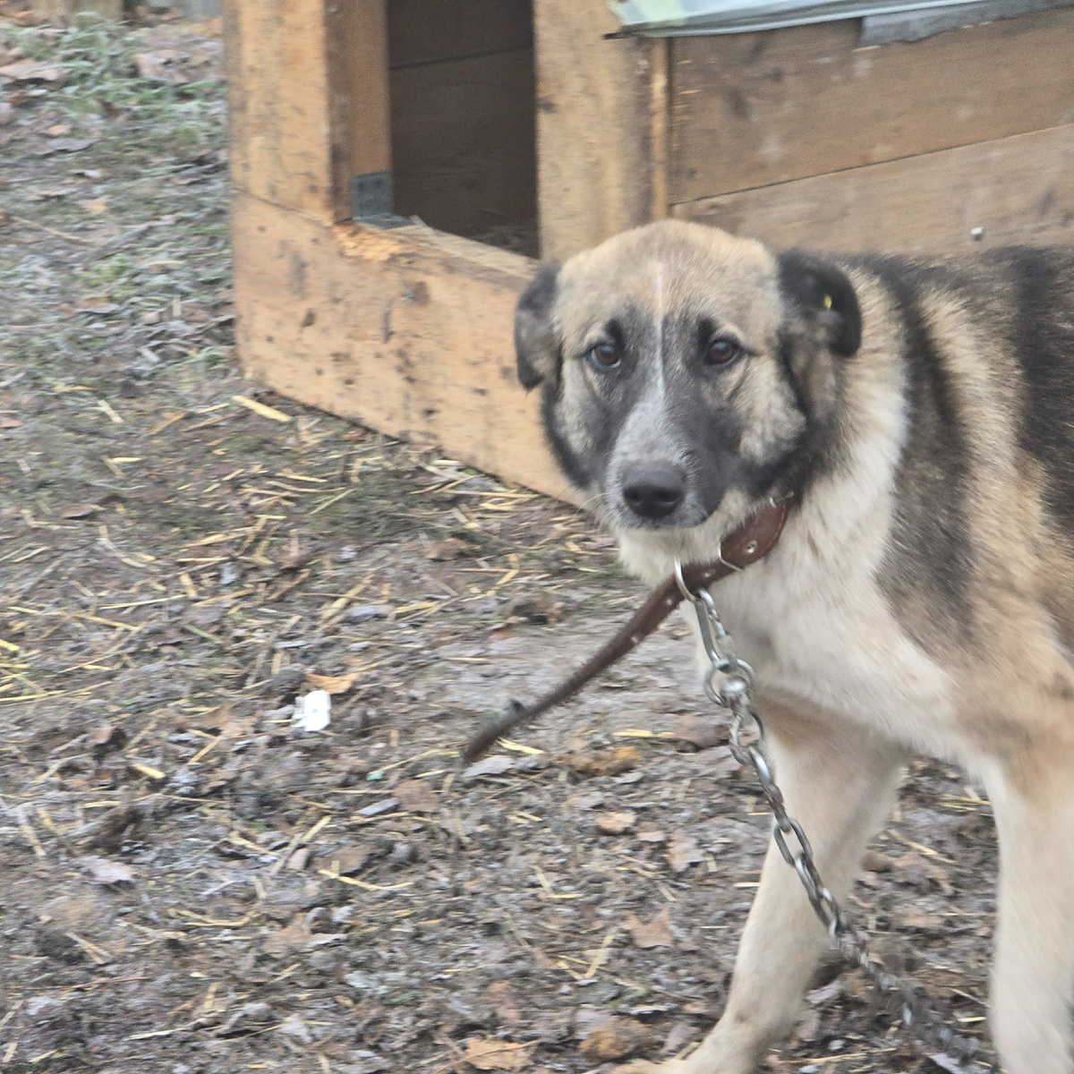 Доверчивые глаза полные веры в людей