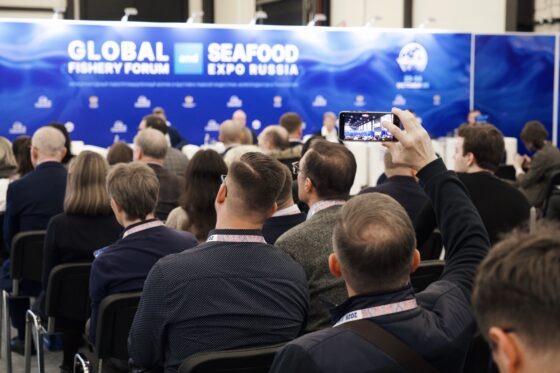     Фото: Медиапалуба