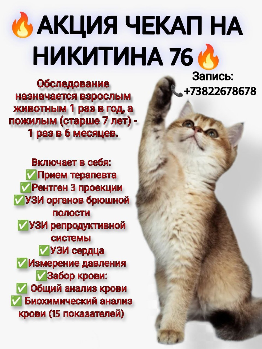 🔥АКЦИЯ ЧЕКАП/ДИСПАНСЕРИЗАЦИЯ НА НИКИТИНА 76🔥

Полное обследование назначается взрослым животным 1 раз в год, а пожилым (старше 7 лет) - 1 раз в 6 месяцев.

ЧЕКАП включает в себя:
✅Прием терапевта 
✅Рентген 3 проекции 
✅УЗИ органов брюшной полости
✅УЗИ репродуктивной системы 
✅УЗИ сердца
✅Измерение давления 
✅Забор крови:
✅ Общий анализ крови
✅ Биохимический анализ крови (15 показателей)

🔥ВСЕГО 9900 ВМЕСТО 13000🔥

 Мы заботимся о здоровье ваших питомцев!!!🐾

Адреса: 
📍Никитина 76
📍Учебная 8

Запись: 
📞+73822678678

#рыжийлис #рыжий_лис #томск #ветеринария #ветеринарнаяклиника #ВетКлиника #Томск #Чекап #диспансеруживотных #животные