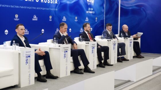     Фото: Медиапалуба