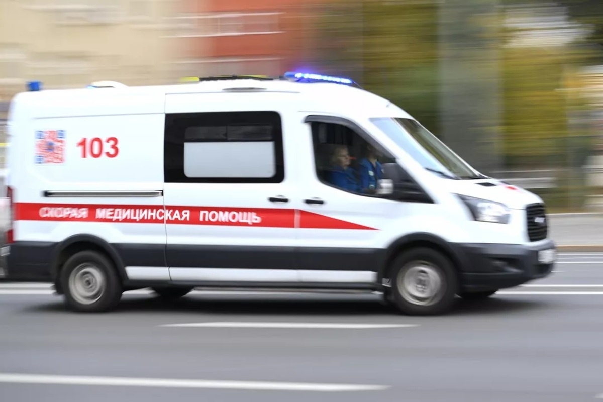    Фото: Светлана Шевченко, источник РИА Новости