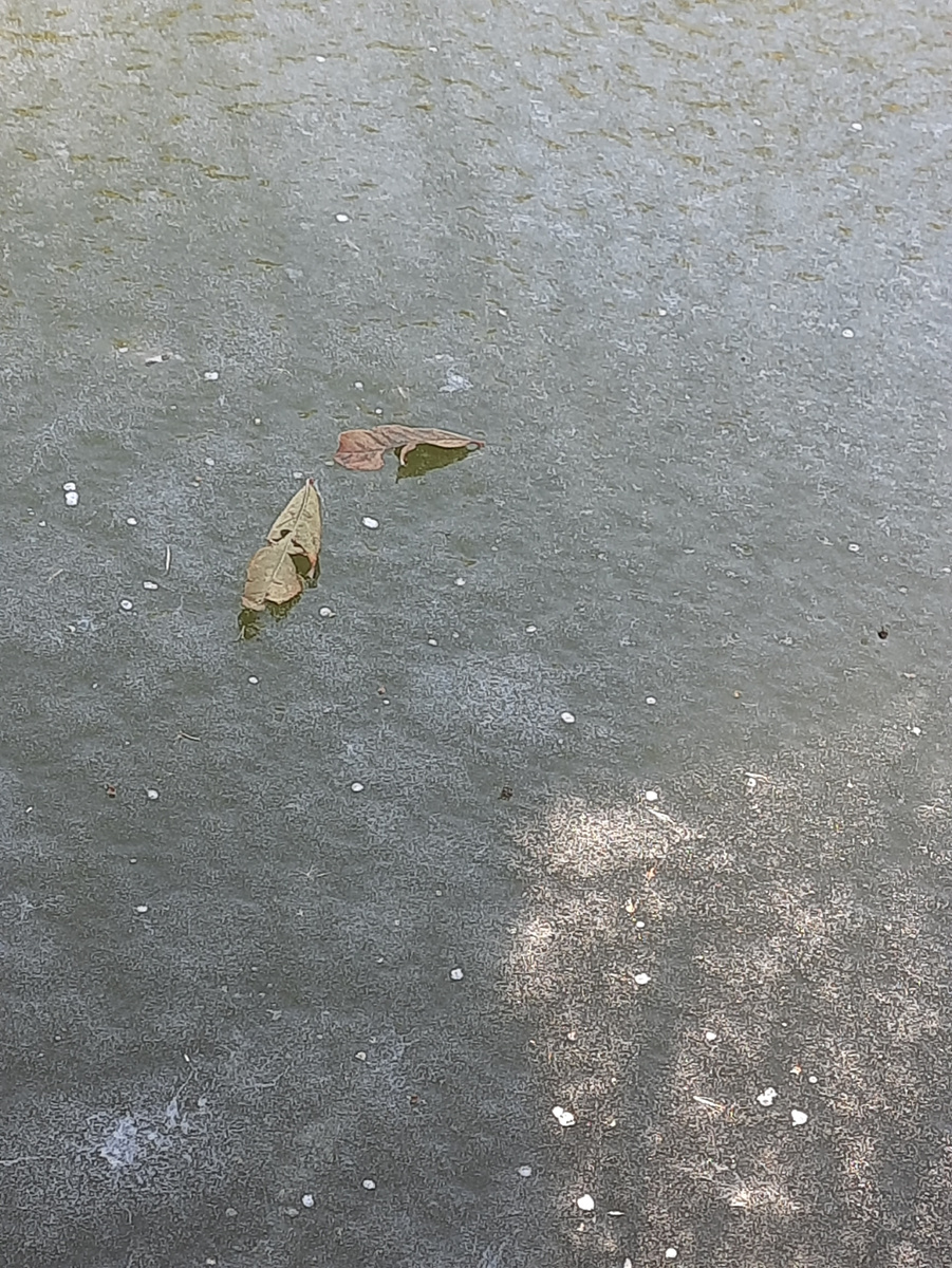 Река Барабановка