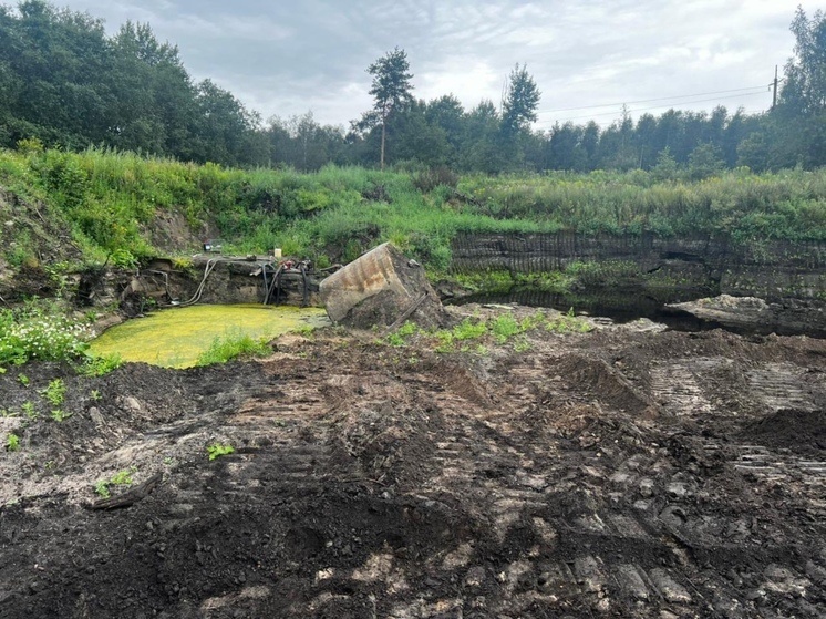     Фото: Пресс-служба ГУ МВД России по Санкт-Петербургу и Ленобласти.