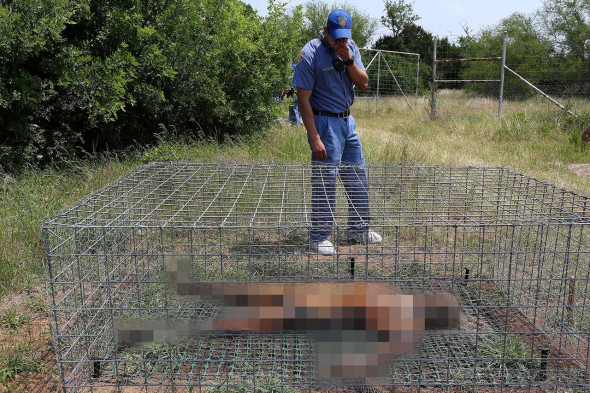 «Ферма трупов» в Теннесси