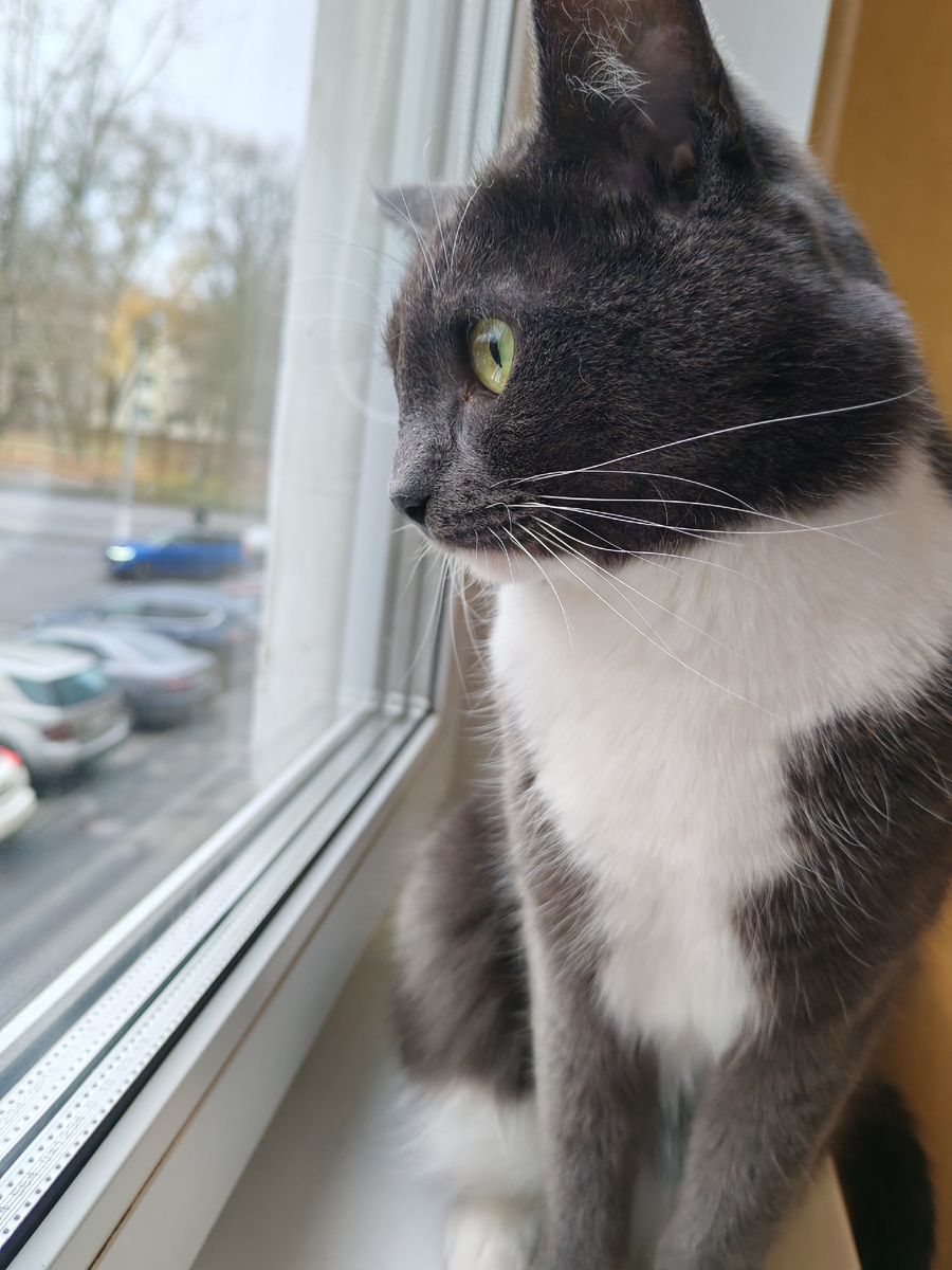 Будьте счастливы!