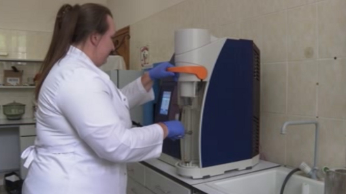    В Курской области началась проверка кукурузы нового урожая