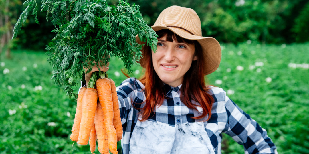 Посадка моркови под зиму
