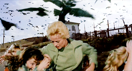 "Жизнь висит на нитке, а думает о прибытке."(с) Фото: qbn.com