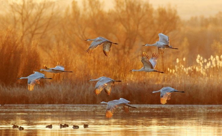 Источник: indulgy.com