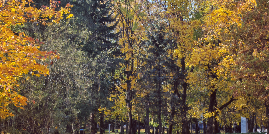 Стало понятнее в чем причина болей
