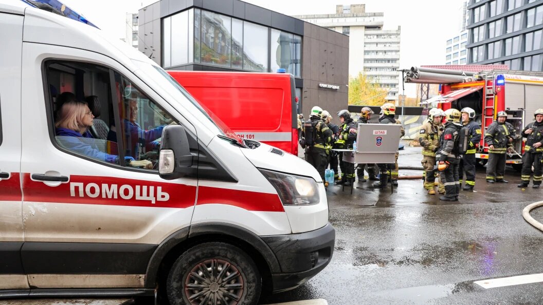    Фото: Roman Naumov/Globallookpress (архив).