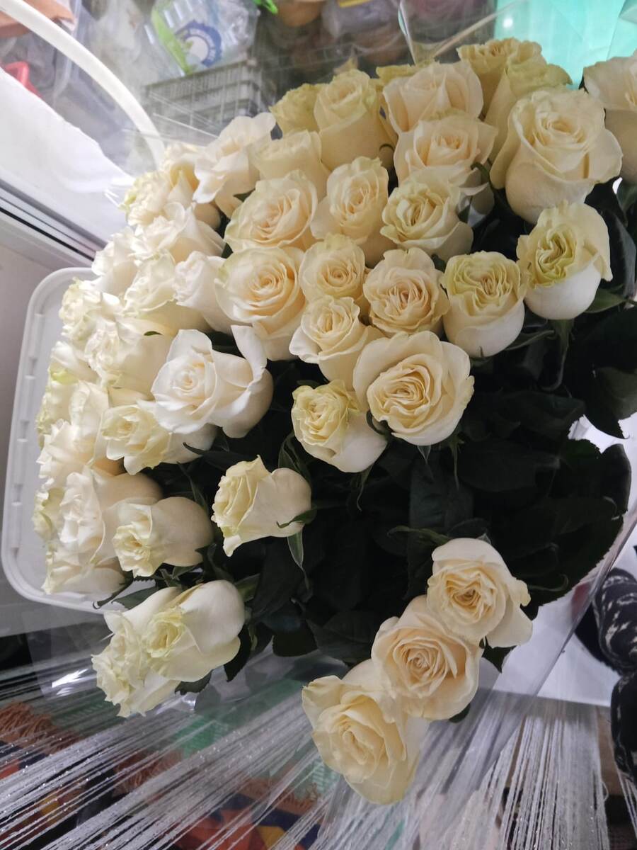 Фото автора канала