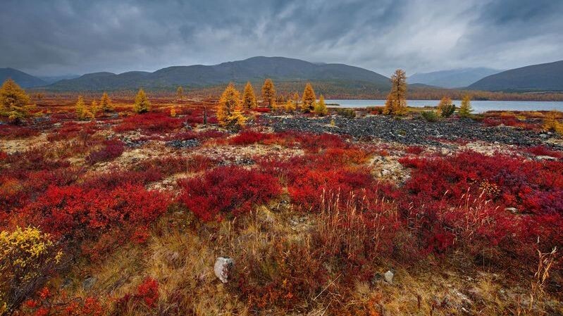    Фото: kaikups/Shutterstock/Fotodom