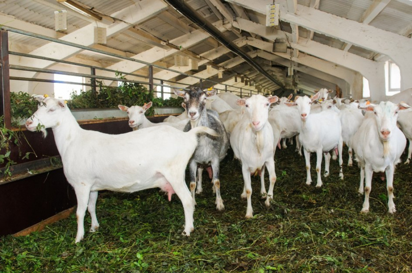 Минимизация стресса