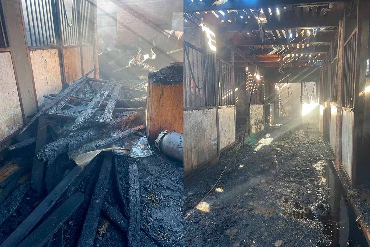    Фото t.me/tipdinskaya