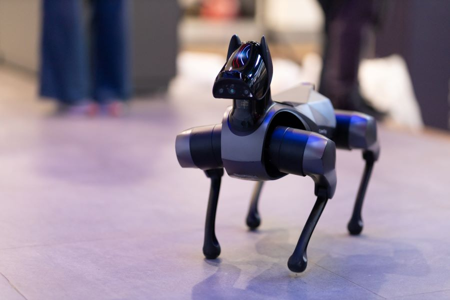 Фото: Иван Сагинбаев, «МП»