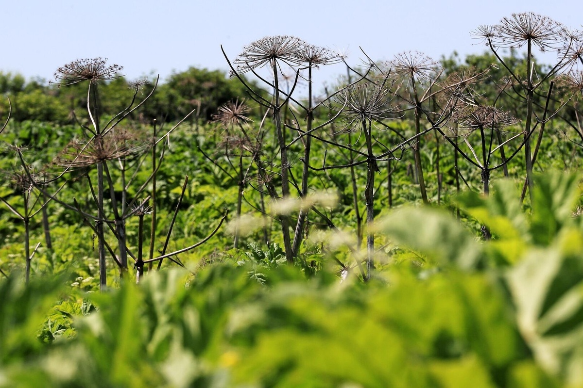    Фото: Антон Денисов, источник: ria.ru