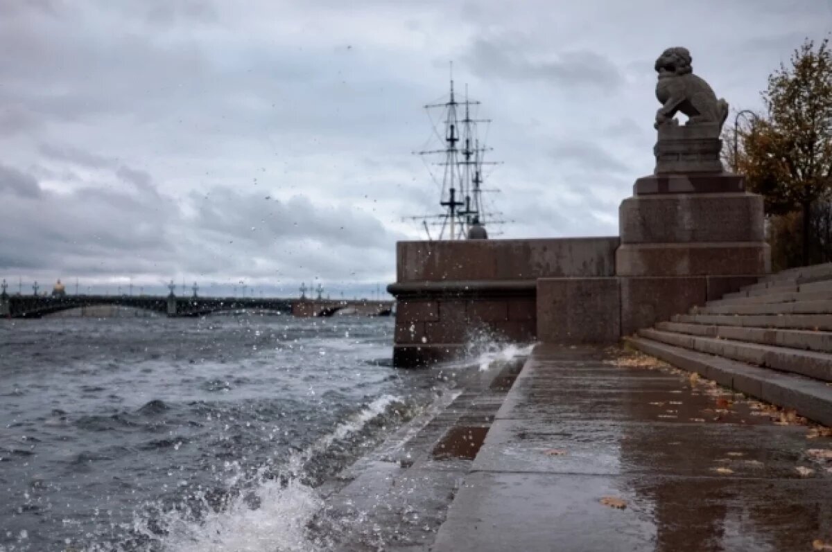    Участник «Невских моржей» мог погибнуть из-за остановки сердца от холода