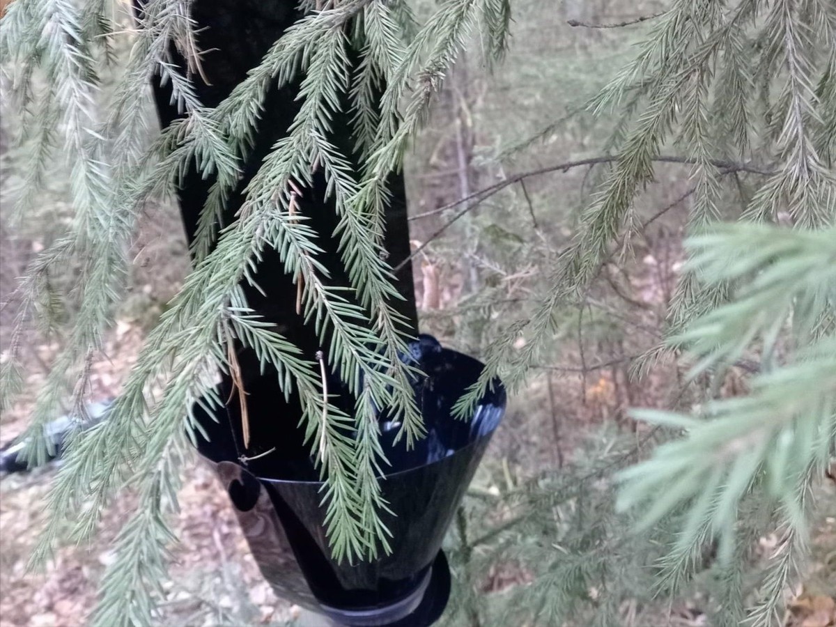     Фото: Уральское межрегиональное управление Россельхознадзора