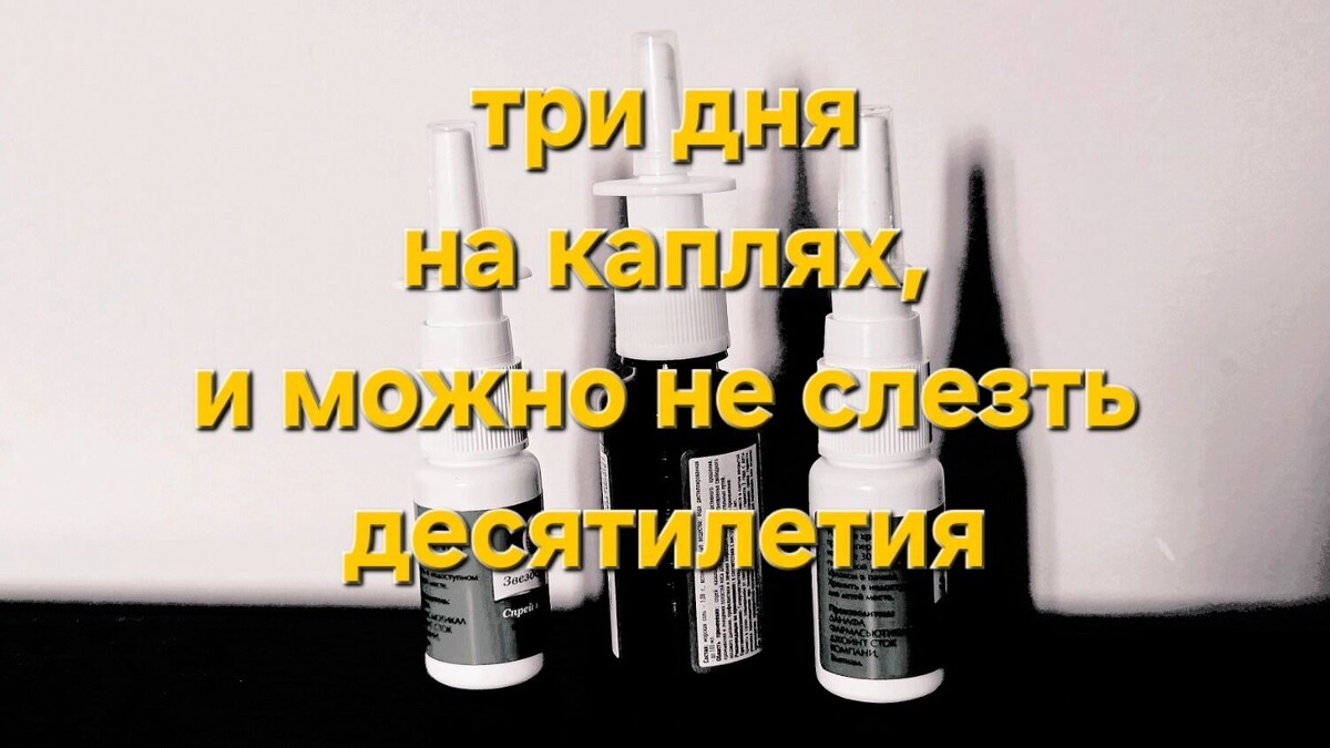     Источник: kubanpress.ru