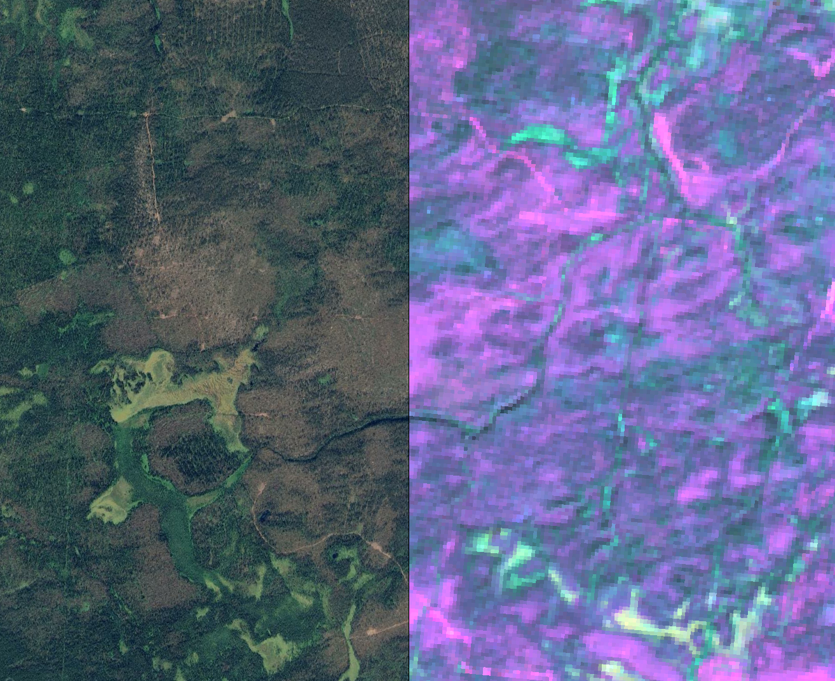 Справа розовым обозначены  участки пострадавшие в результате сильных ветров