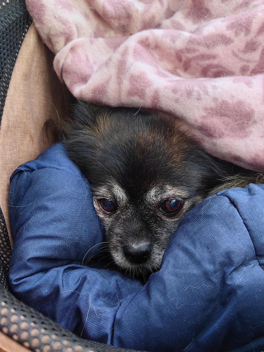 Приехали к доктору 