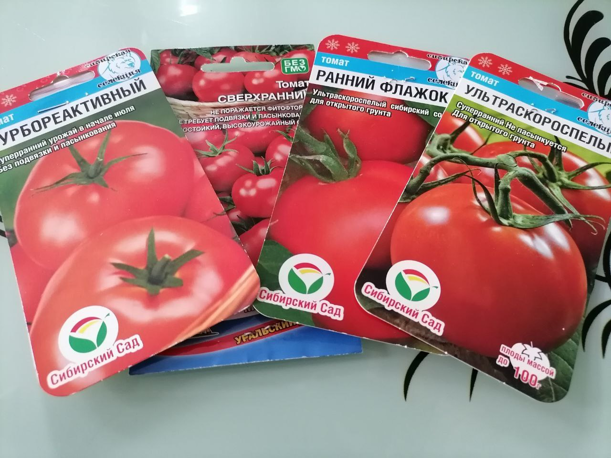 Семена ранних томатов для открытого гунта, фото автора 