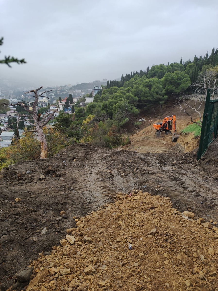 Поликуровский холм, сегодня, 23.10.2025