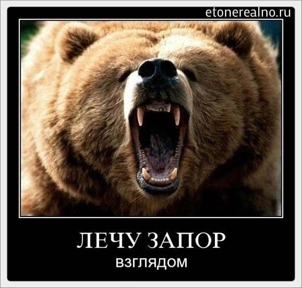 Картинка из свободных источников интернета 