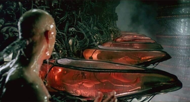 фильм Матрица 1999 г.