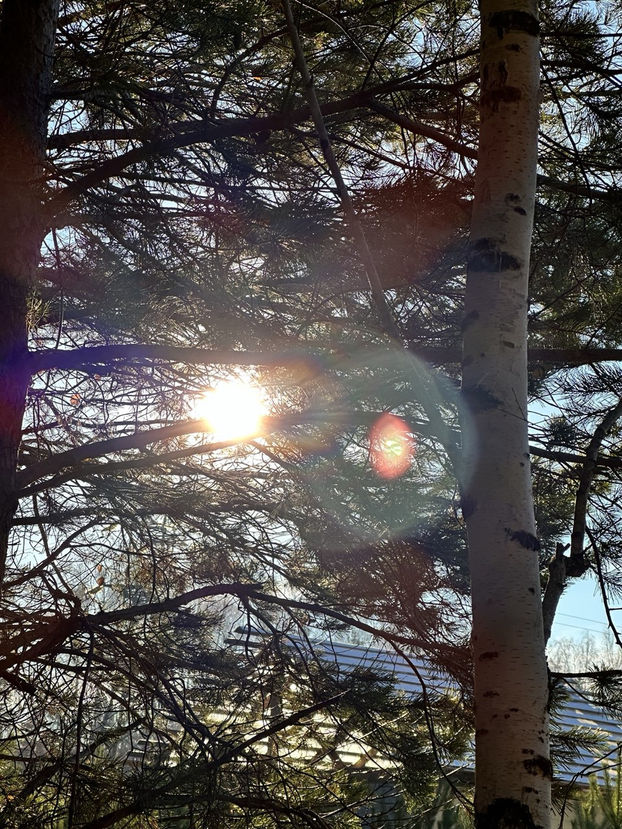 просто фото, сделаное мной.