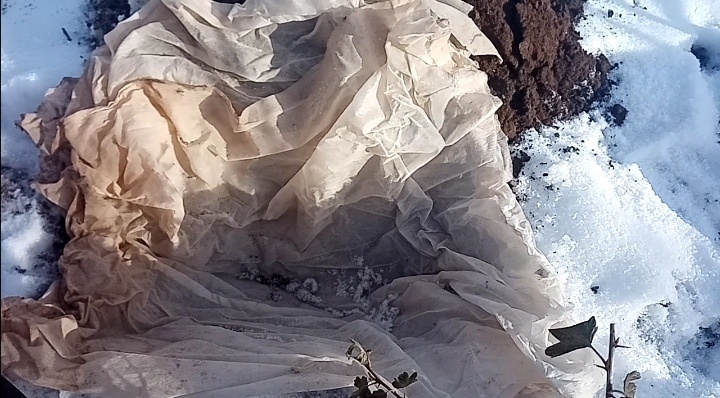 старый лутрасил