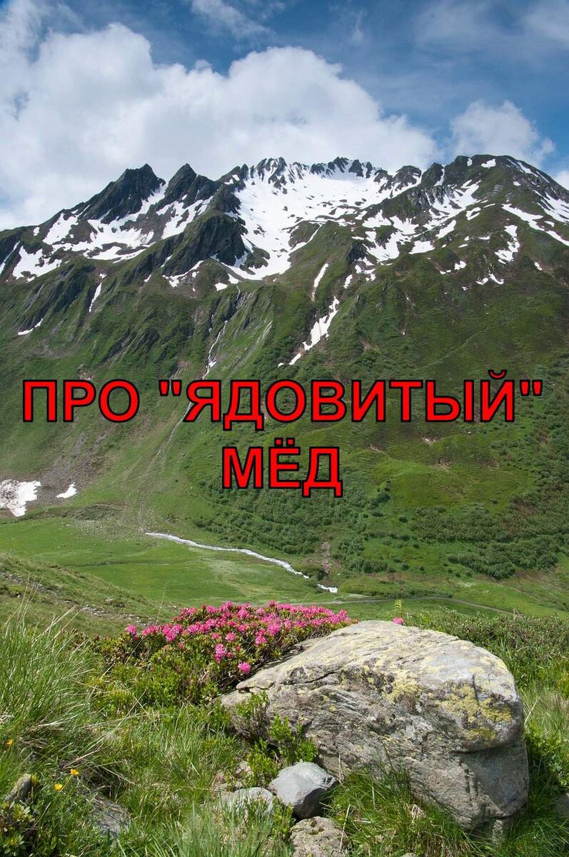 Про ядовитый мёд