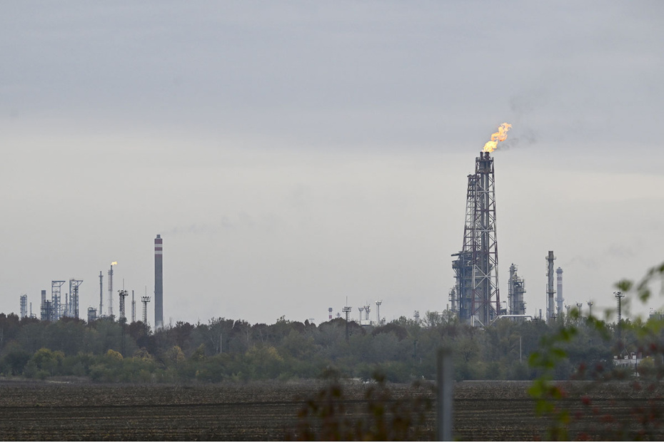    Robert Hegedus/EPA/TASS