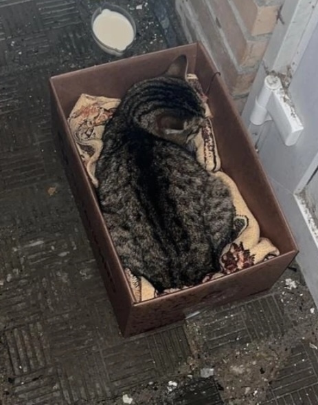 Полотенце постелил кто то в коробочку