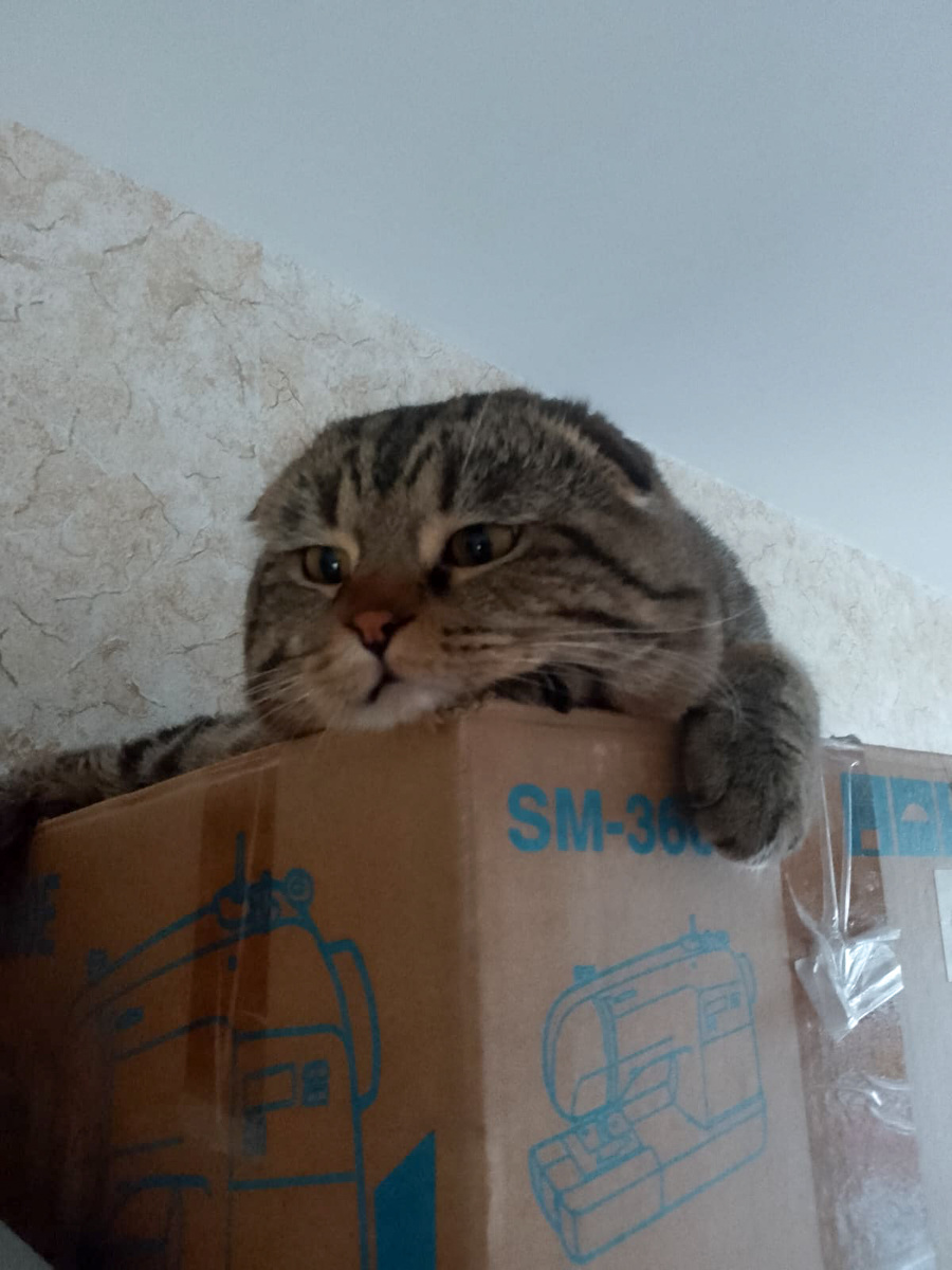 И грустить тут веселее 