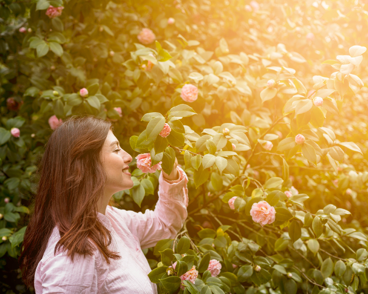 Цветущий сад (изображение от  Freepik)